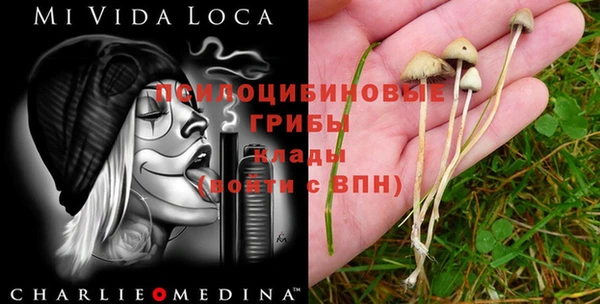 MDMA Premium VHQ Армянск