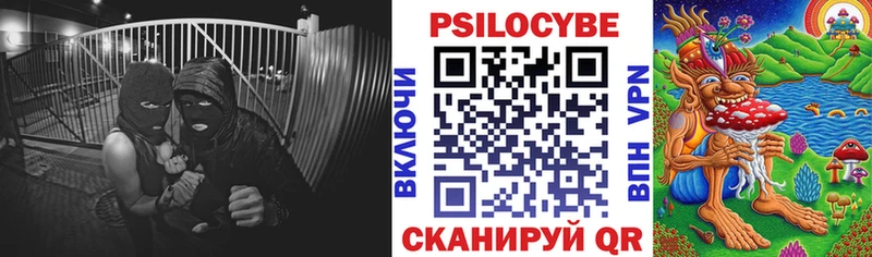 Псилоцибиновые грибы мухоморы  где продают наркотики  Заполярный 