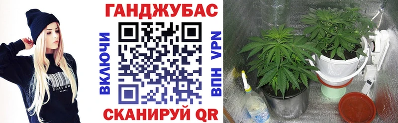 Каннабис OG Kush Заполярный
